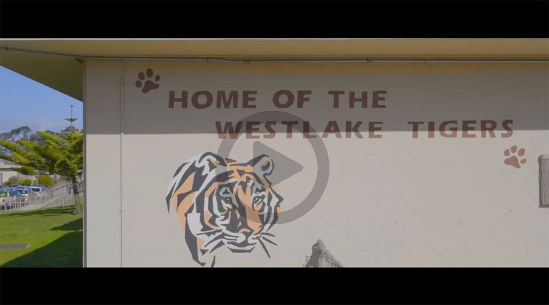 Fit Kids - Westlake Promo