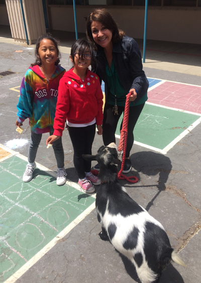 Animal Camp