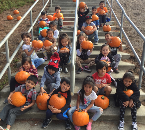 Mrs. Iriyama's Kinder Pumpkins