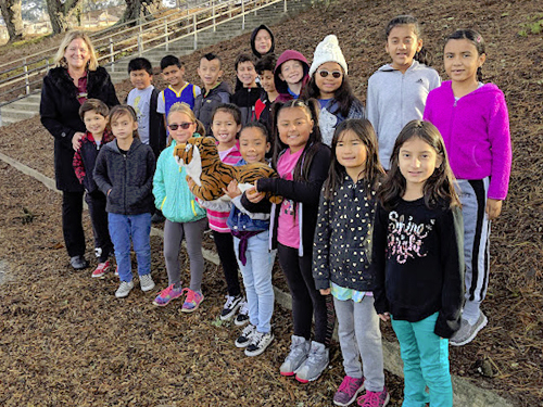 Terrific Tigers of the Week!