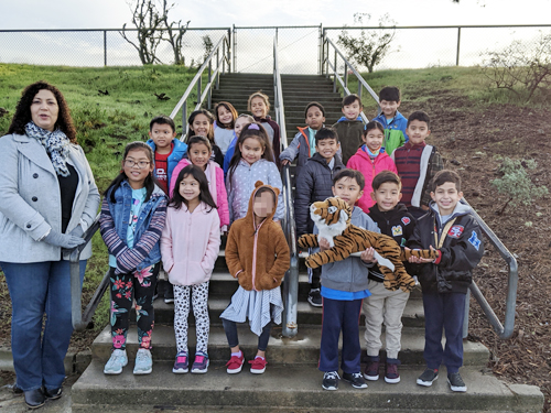 Terrific Tigers of the Week!