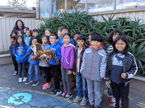 Terrific Tigers of the Week!