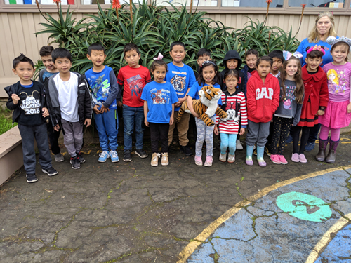 Terrific Tigers of the Week!